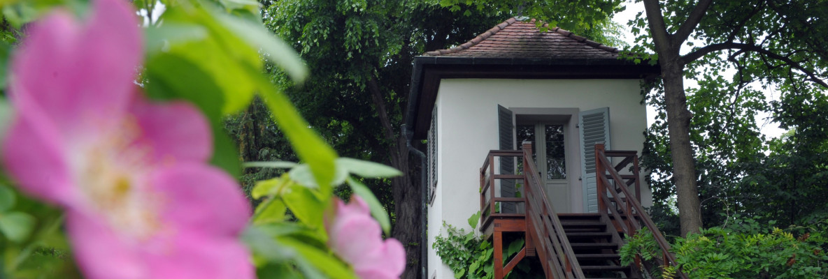 Blick auf die Zinne in Schillers Garten (Schillers Gartenhaus, FSU Jena)